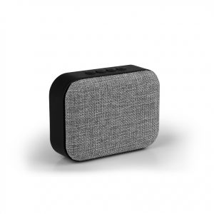 SPEAKER
