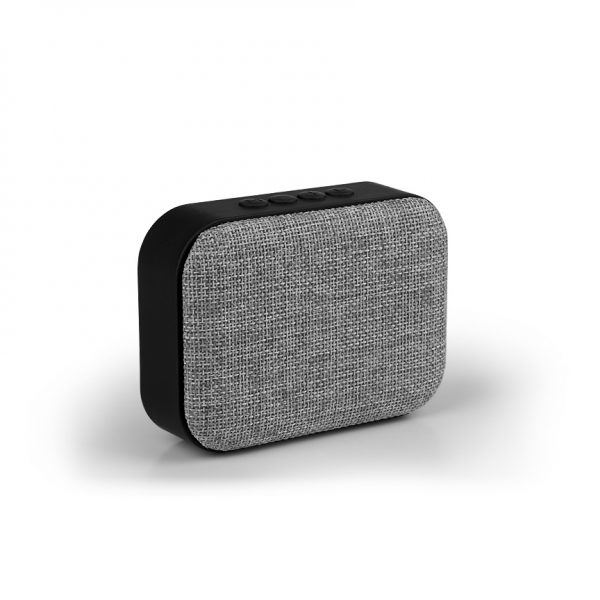 SPEAKER