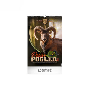 DOBAR POGLED